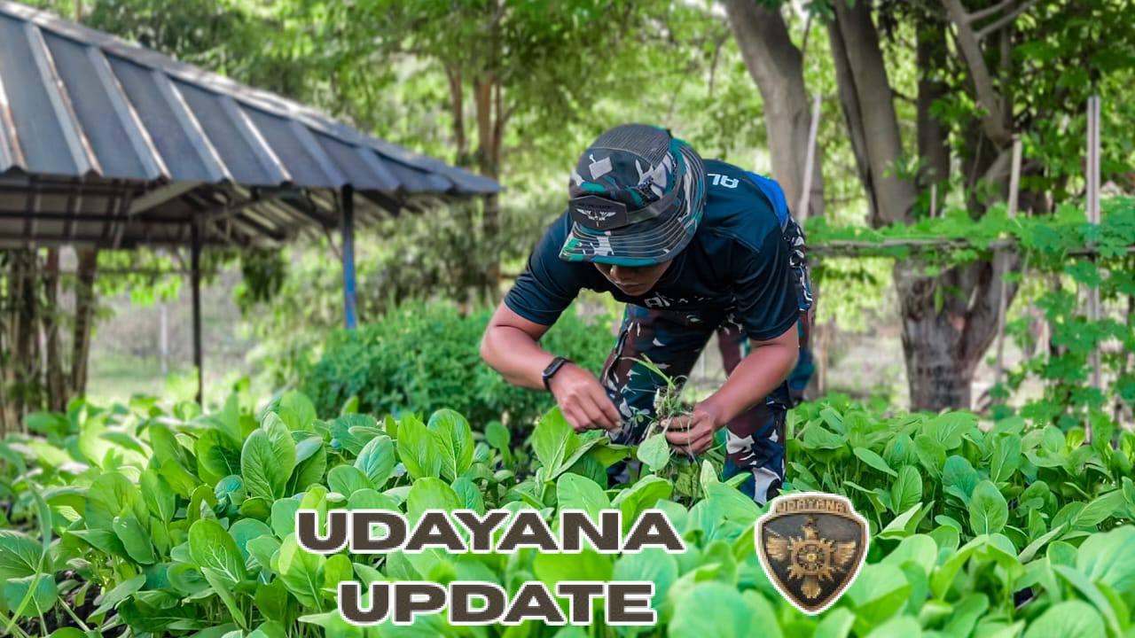 Wujudkan Ketahanan Pangan, Satgas Pamtas Yonarhanud 2 Kostrad Berkebun dan Berternak di Perbatasan