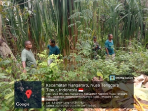 Babinsa Koramil 1625-03/Boawae Tinjau Lahan Pembangunan Koperasi Merah Putih di Desa Riti