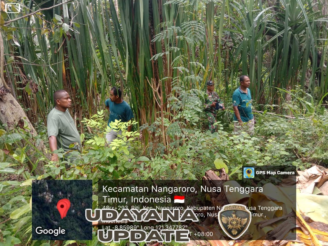 Babinsa Koramil 1625-03/Boawae Tinjau Lahan Pembangunan Koperasi Merah Putih di Desa Riti