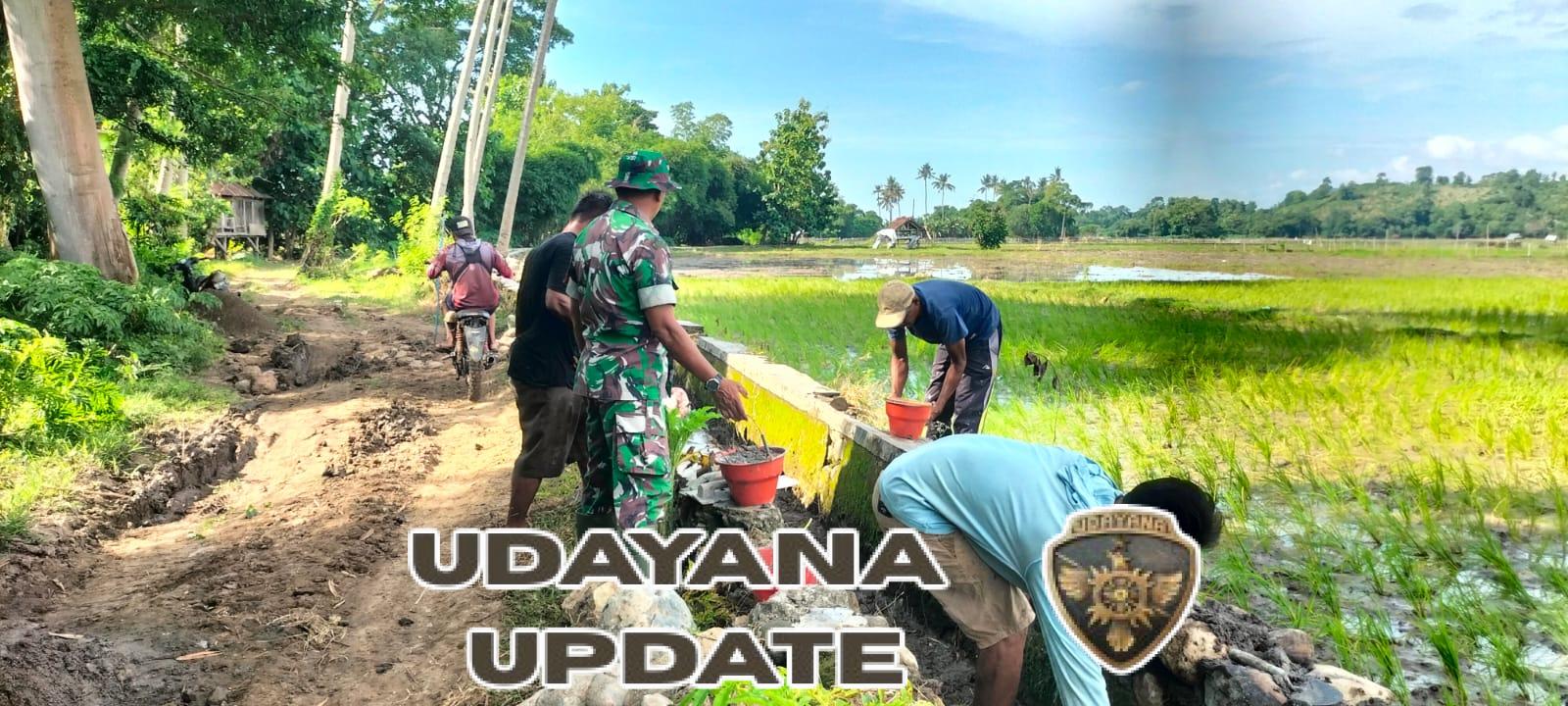 Serma Rusli Kawal Perbaikan Saluran Irigasi di So Ale 1 Desa Ranggo