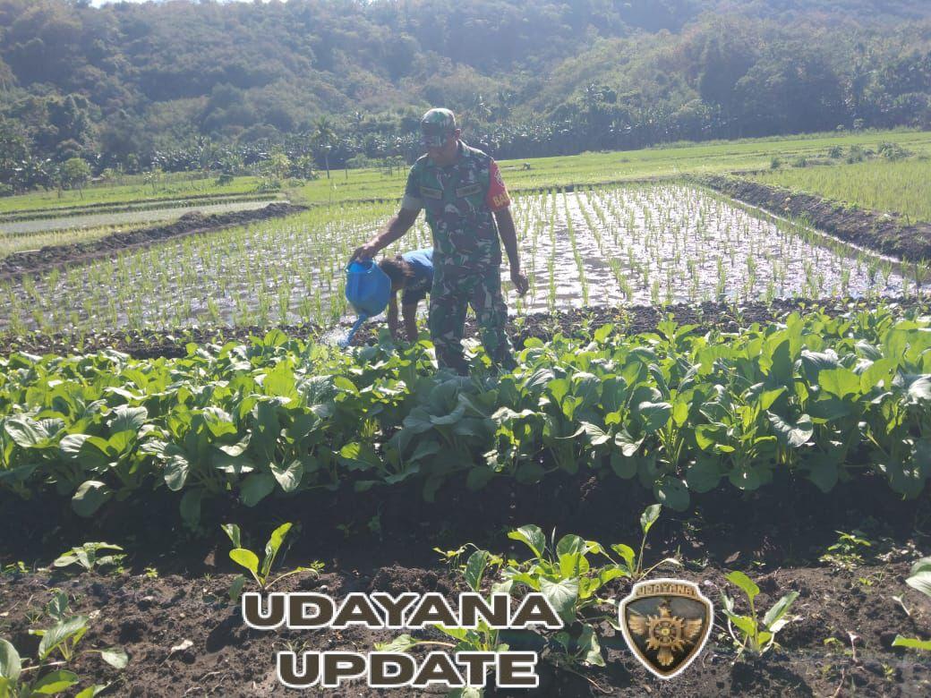 Sertu Musa Bagaisar Bantu Perawatan Tanaman Sayur Milik Warga Binaan