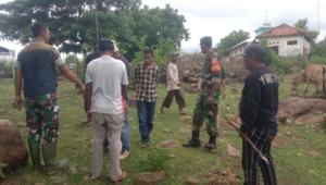 Babinsa Dampingi Survei Pembangunan Koperasi di Desa Punti dan Kananta