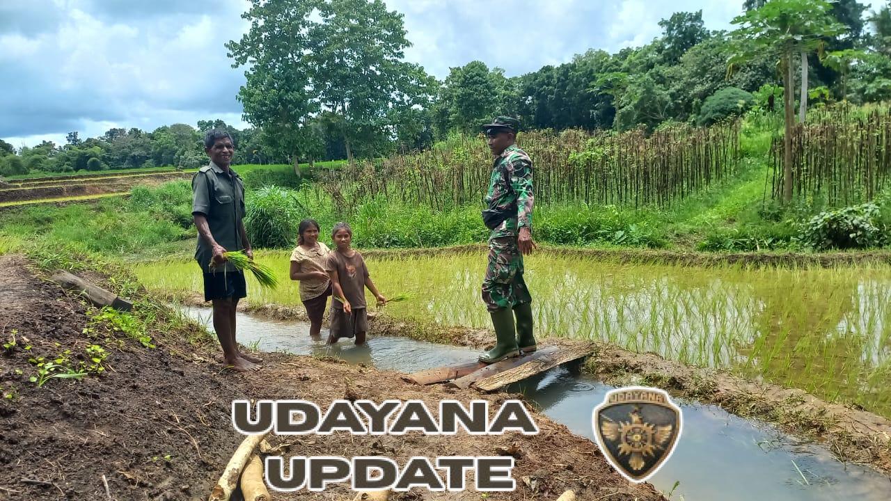 Pererat Kedekatan, Babinsa Koramil Loli Komsos Bersama Petani Diratana