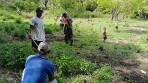 Wujud Kemanunggalan TNI–Rakyat, Babinsa Kawangu Bantu Tanam Jagung