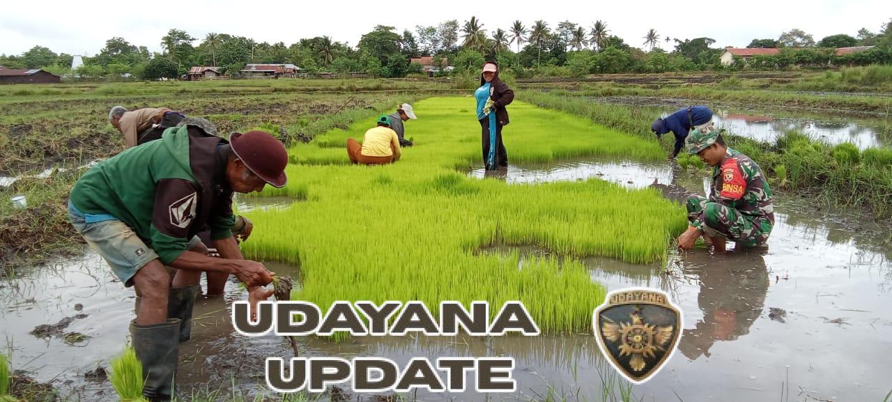 Praka Stepanus Dappa Taka Laksanakan Pendampingan Hanpangan di Lewa Tidahu