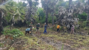 Wujud Kepedulian TNI, Babinsa Bantu Petani Tanam Jagung di Kecamatan Haharu