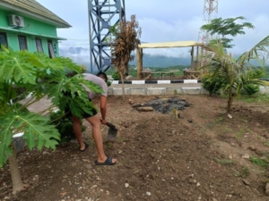 ‎Ketahanan Pangan, Satgas Pamtas RI -RDTL Yonarhanud 2 Kostrad Sulap Lahan Tidur Jadi Sumber Pangan