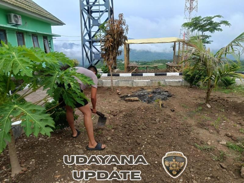 Ketahanan Pangan, Satgas Pamtas RI -RDTL Yonarhanud 2 Kostrad Sulap Lahan Tidur Jadi Sumber Pangan