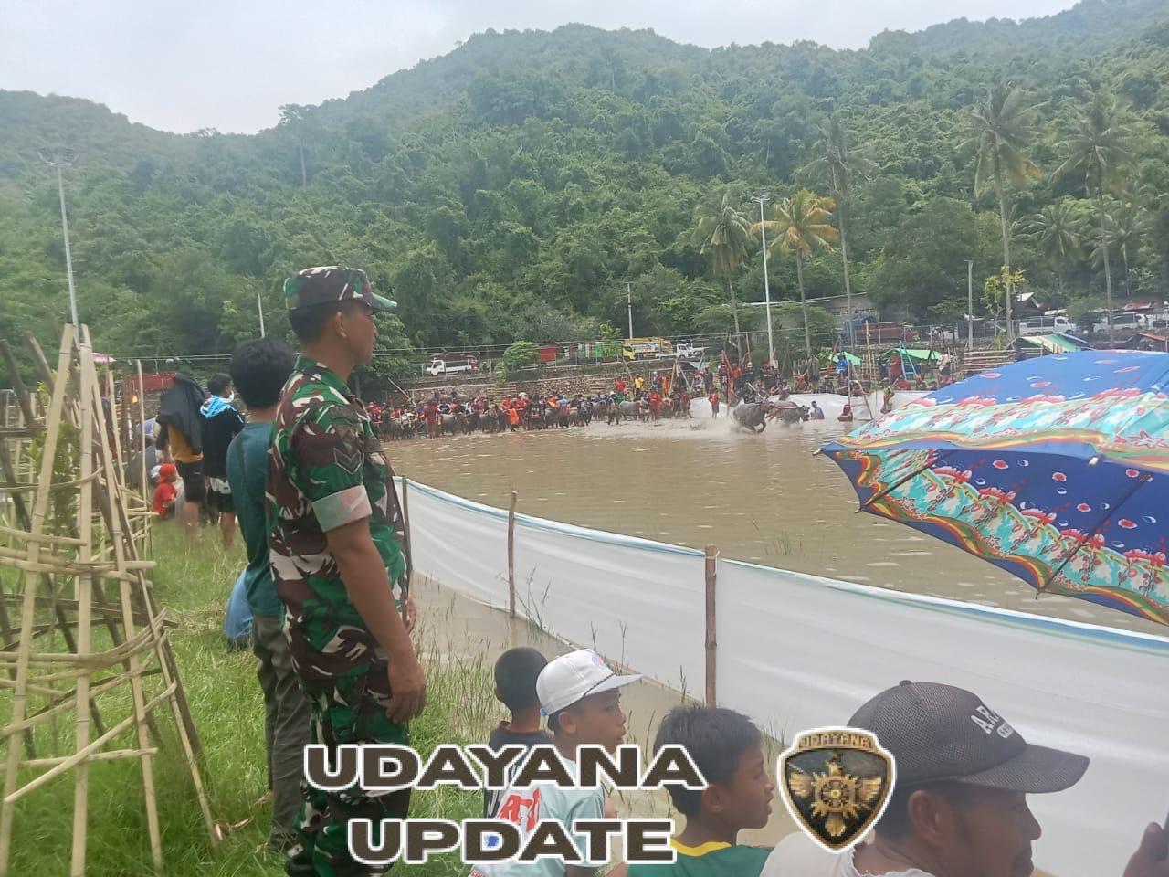 Babinsa Koramil Taliwang Amankan Lomba Barapan Kebo Harlah Desa Sapugara Bree ke-22