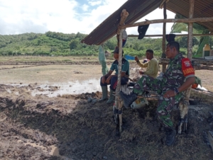 Babinsa Desa Beru Gelar Patroli dan Komsos, Imbau Petani Pasang Pagar Lindungi Tanaman Padi
