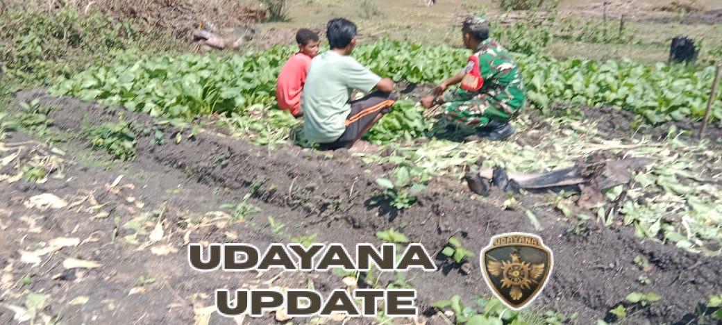 Babinsa Koramil 1618-02/Miobar Laksanakan Komsos, Ajak Warga Manfaatkan Lahan Tidur