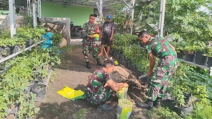 Danramil 1615-11/Aikmel Pimpin Pemanfaatan Lahan Kosong Koramil untuk Ketahanan Pangan