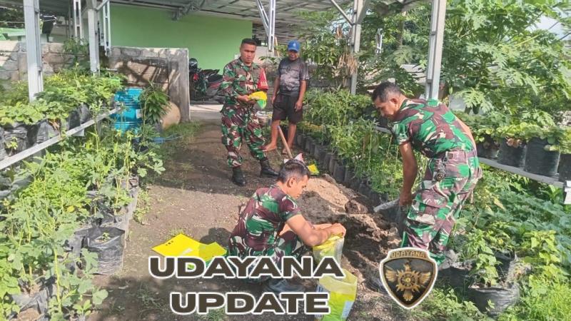 Danramil 1615-11/Aikmel Pimpin Pemanfaatan Lahan Kosong Koramil untuk Ketahanan Pangan