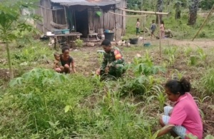 Babinsa Koramil 1618-02/Miobar Ajak Warga Noetoko Olah Lahan Pekarangan untuk Tanaman Hortikultura