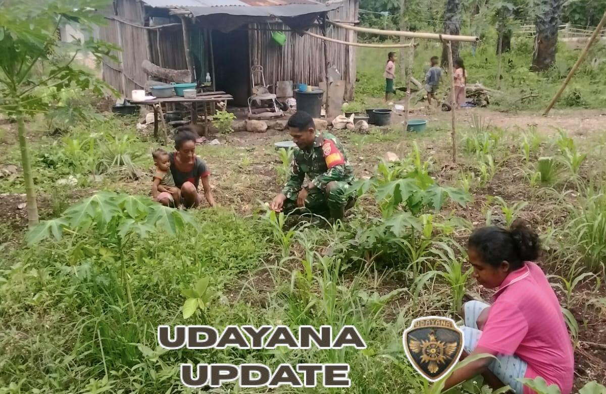 Babinsa Koramil 1618-02/Miobar Ajak Warga Noetoko Olah Lahan Pekarangan untuk Tanaman Hortikultura