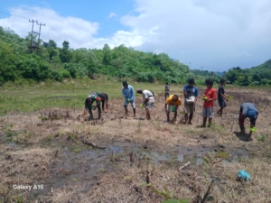 Babinsa Pratu Denis Nderu Peta Laksanakan Pendampingan Tanam Padi di Wudipandak