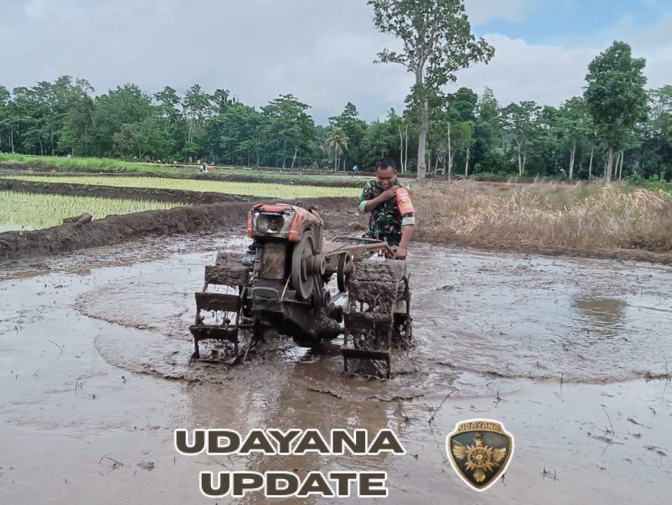 Wujud Kepedulian TNI, Babinsa Bantu Persiapan Tanam Padi