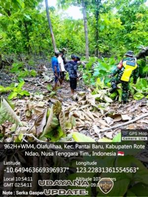 Babinsa Pantai Baru Bersama Warga Bersihkan Lokasi KDKMP di Desa Lekona