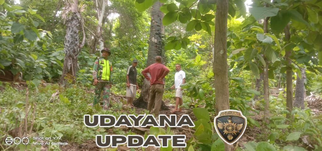 Babinsa Koramil 1627-01/Ba’a Dampingi Pembersihan Lahan KDKMP Desa Oeleka