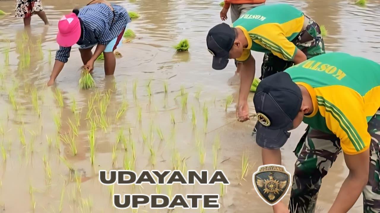 Karya Bakti Pos Turiskain, Yonarmed 12 Kostrad Tanam Padi Bersama Warga Perbatasan