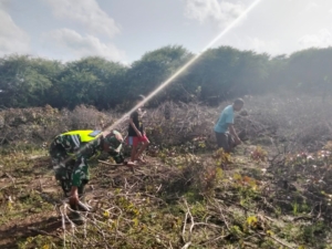 Babinsa Koramil 1627-02/Pantai Baru Laksanakan Komsos dan Monitoring Wilayah di Desa Fatelilo