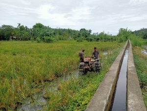 Dukung Ketahanan Pangan, Babinsa Lakukan Pendampingan Operator Hand Traktor
