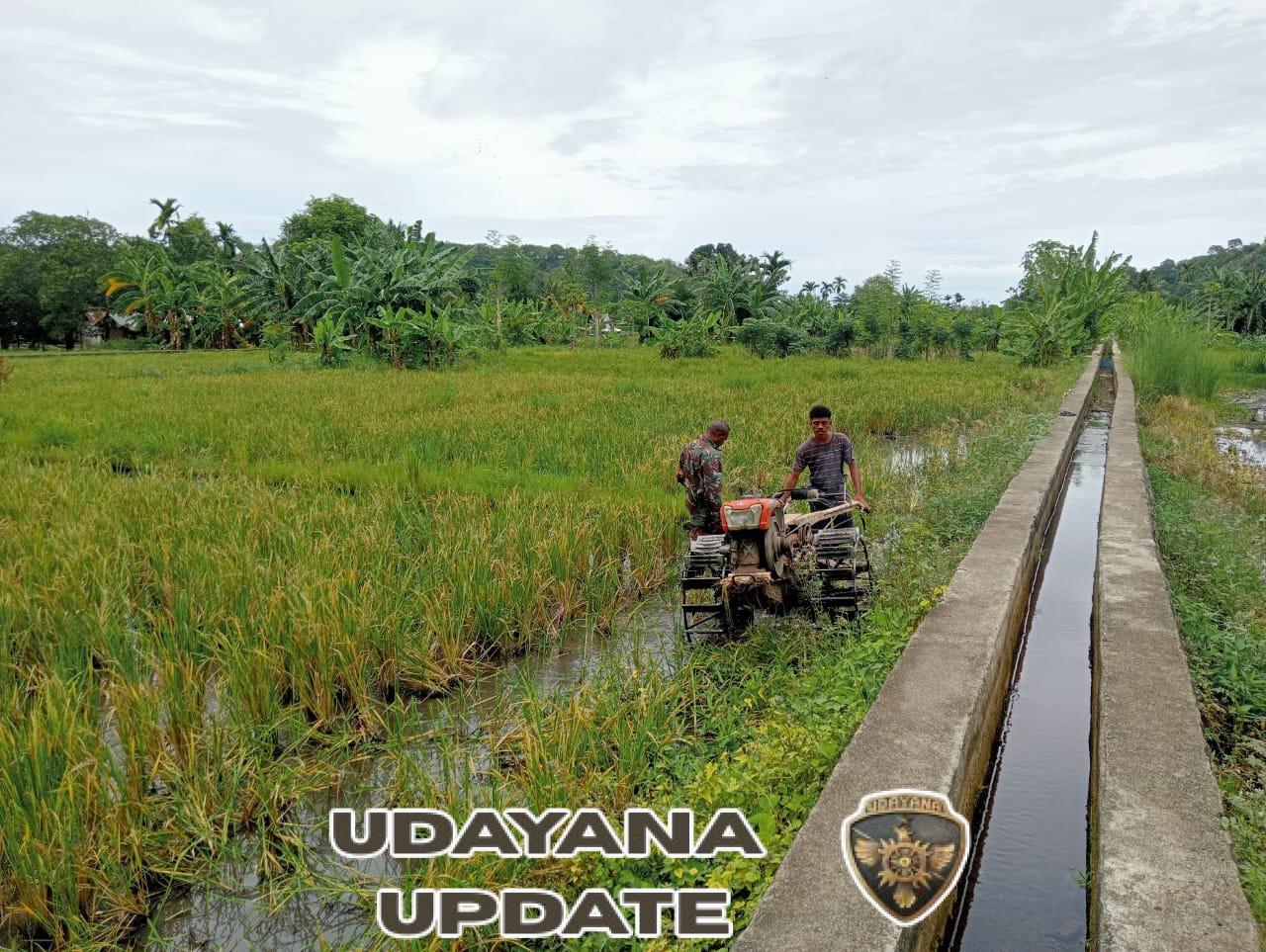 Dukung Ketahanan Pangan, Babinsa Lakukan Pendampingan Operator Hand Traktor