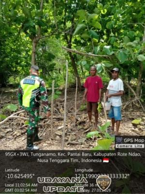 Babinsa Kopda Grani Fia Cek Lahan dan Pasang Bowplang KDKMP Desa Tunganamo