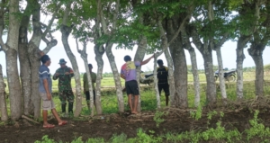 Babinsa Koramil 03/Pahunga Lodu Bersama Warga Perbaiki Pagar Sawah di Desa Kaliuda
