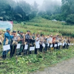 Dandim 1630/Mabar Bersama Forkopimda Hadiri Panen Jagung Hibrida di Golo Damu