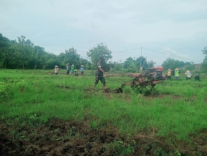 Babinsa Koramil 1614-06/Manggelewa Laksanakan Komsos dan Pendampingan Ketahanan Pangan di Desa Nanga Tumpu