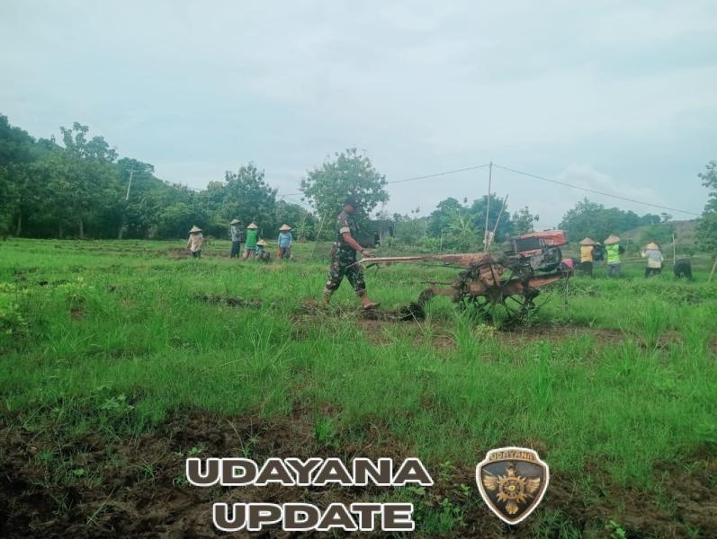 Babinsa Koramil 1614-06/Manggelewa Laksanakan Komsos dan Pendampingan Ketahanan Pangan di Desa Nanga Tumpu