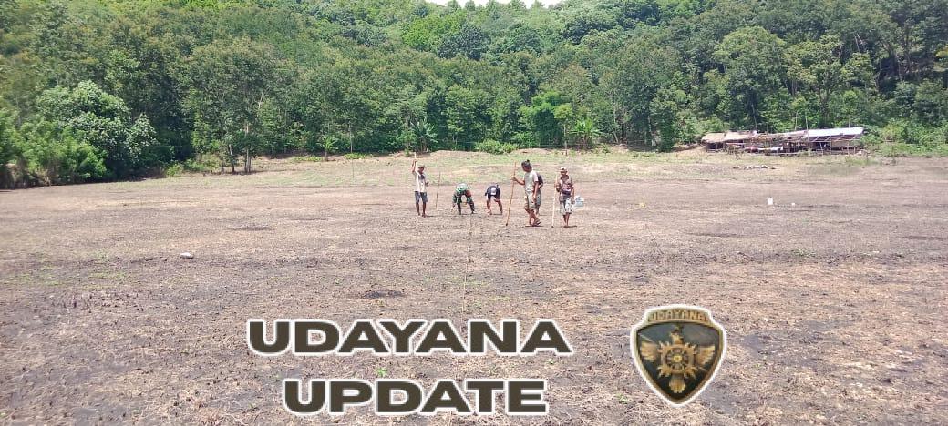 Babinsa Kodim 1601/Sumba Timur Aktif Dukung Pertanian Warga Desa Wudipandak