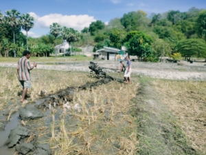 Sertu Darusman Turun ke Sawah, Bantu Persiapan Lahan Semai Padi