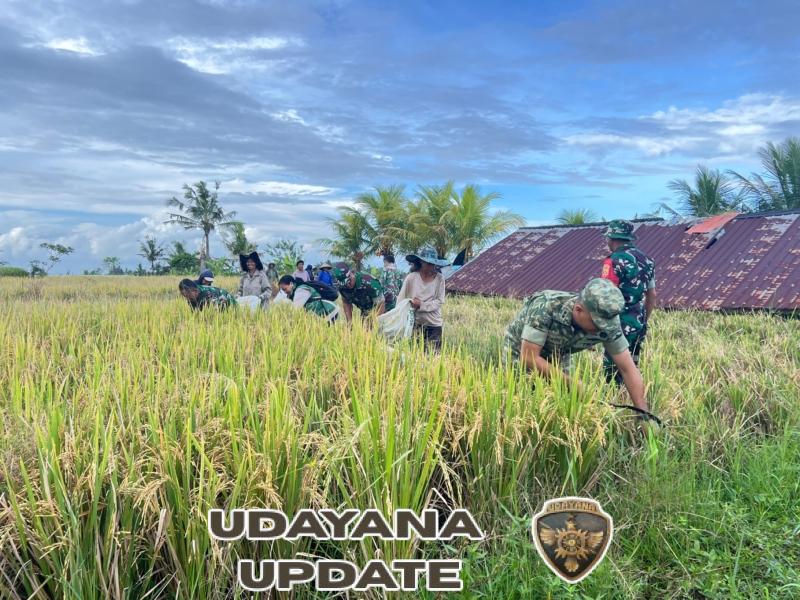 Kodim 1626/Bangli Gelar Panen Raya dan Ikuti Vidcon Pengumuman Swasembada Pangan Nasional