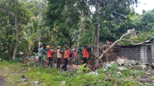 Gotong Royong, Koramil Dawan Siapkan Lahan KDKMP Di Desa dawan Kaler