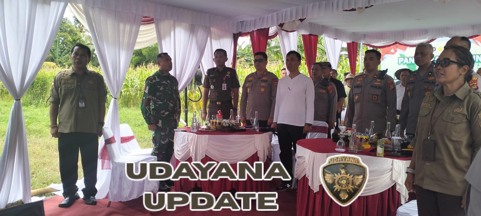 Panen Raya Jagung Serentak Kuartal I Tahun 2026 di Seririt Dukung