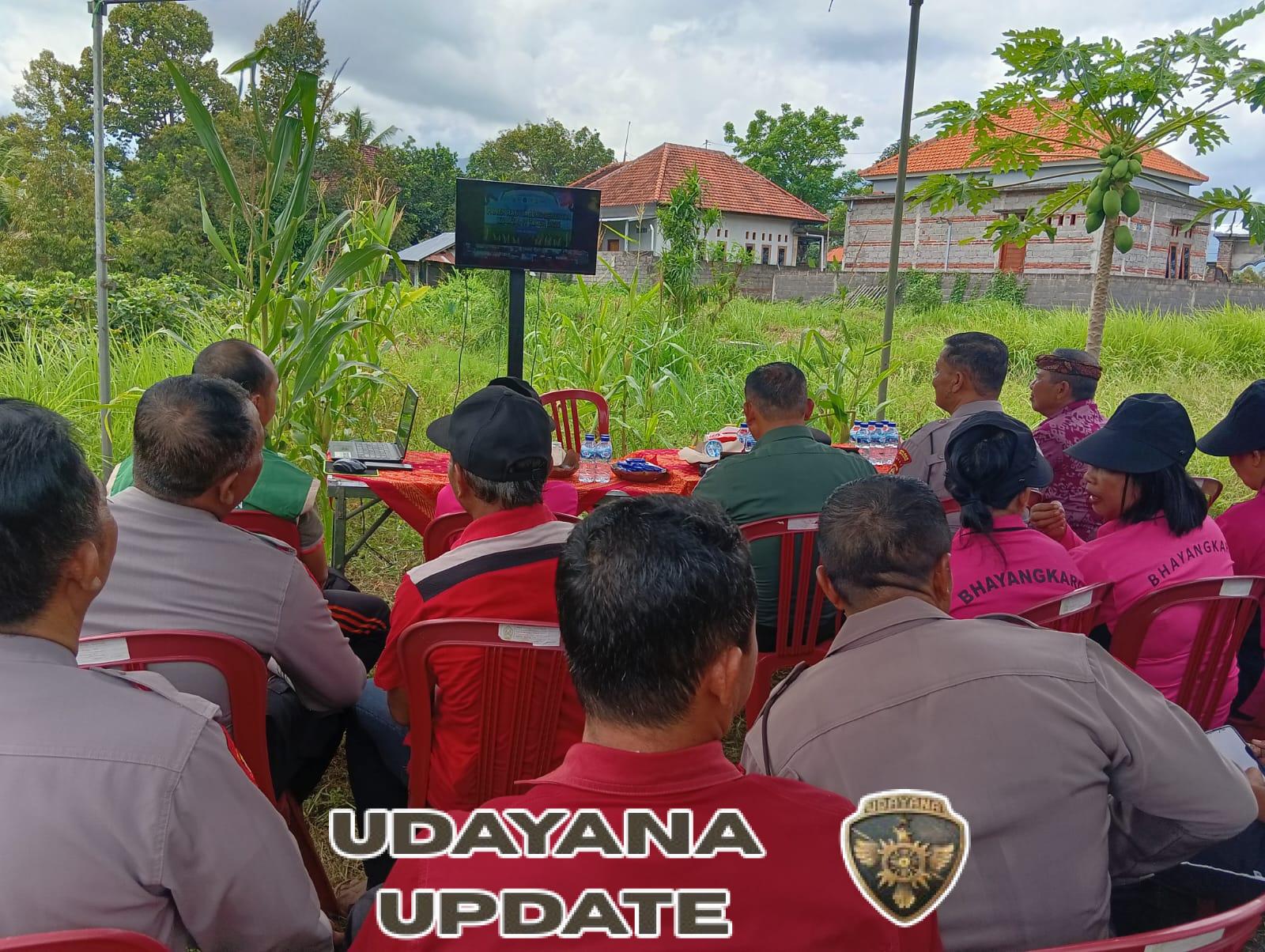 Panen Jagung Live di YouTube, Babinsa Alasangker Hadir Dukung Petani Wujudkan Lumbung Pangan Buleleng