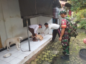Babinsa Nagasepaha Gencarkan Vaksinasi Rabies, Warga Antusias Lindungi Hewan Peliharaan”
