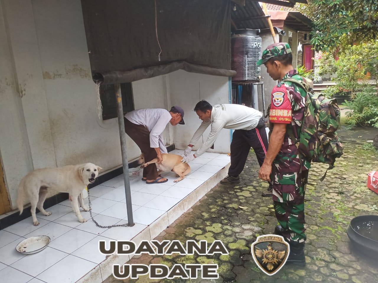 Babinsa Nagasepaha Gencarkan Vaksinasi Rabies, Warga Antusias Lindungi Hewan Peliharaan”