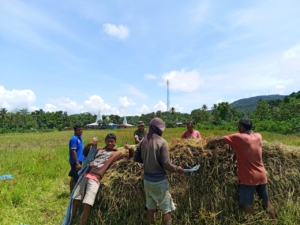 Wujud Kepedulian TNI, Babinsa Koramil 04/Tabundung Dampingi Petani Panen Padi