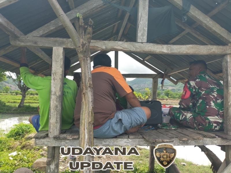 Babinsa Koramil 1614-03/Hu’u Komsos Bersama Petani Bahas Perbaikan Pagar Sawah