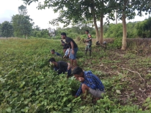 Wujud Kemanunggalan TNI-Rakyat, Babinsa Loli Bantu Warga Desa Wedabo
