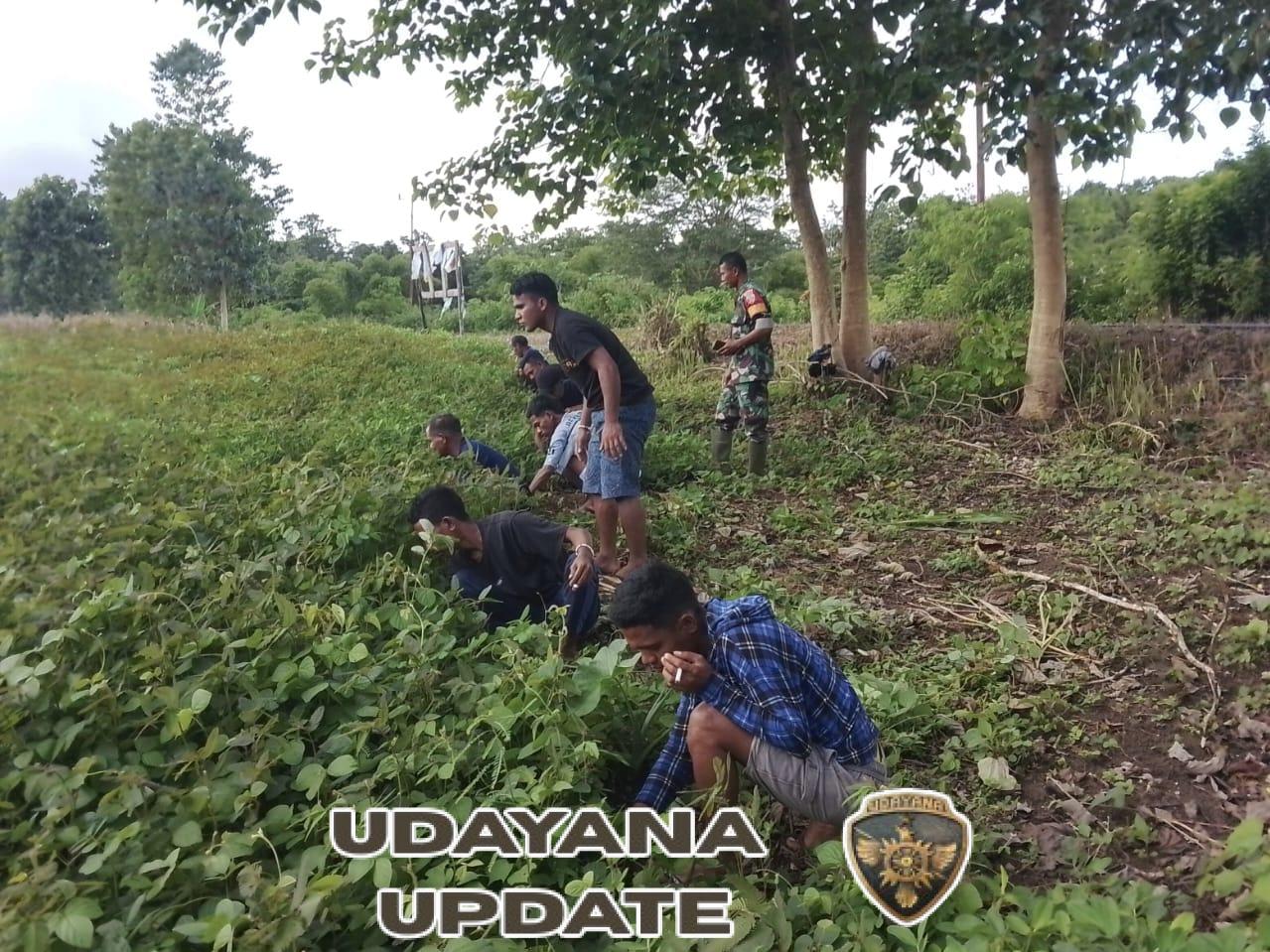 Wujud Kemanunggalan TNI-Rakyat, Babinsa Loli Bantu Warga Desa Wedabo