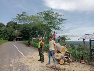 Aksi Cepat Babinsa dan Damkar Selamatkan Jalan Propinsi dari Macet Parah
