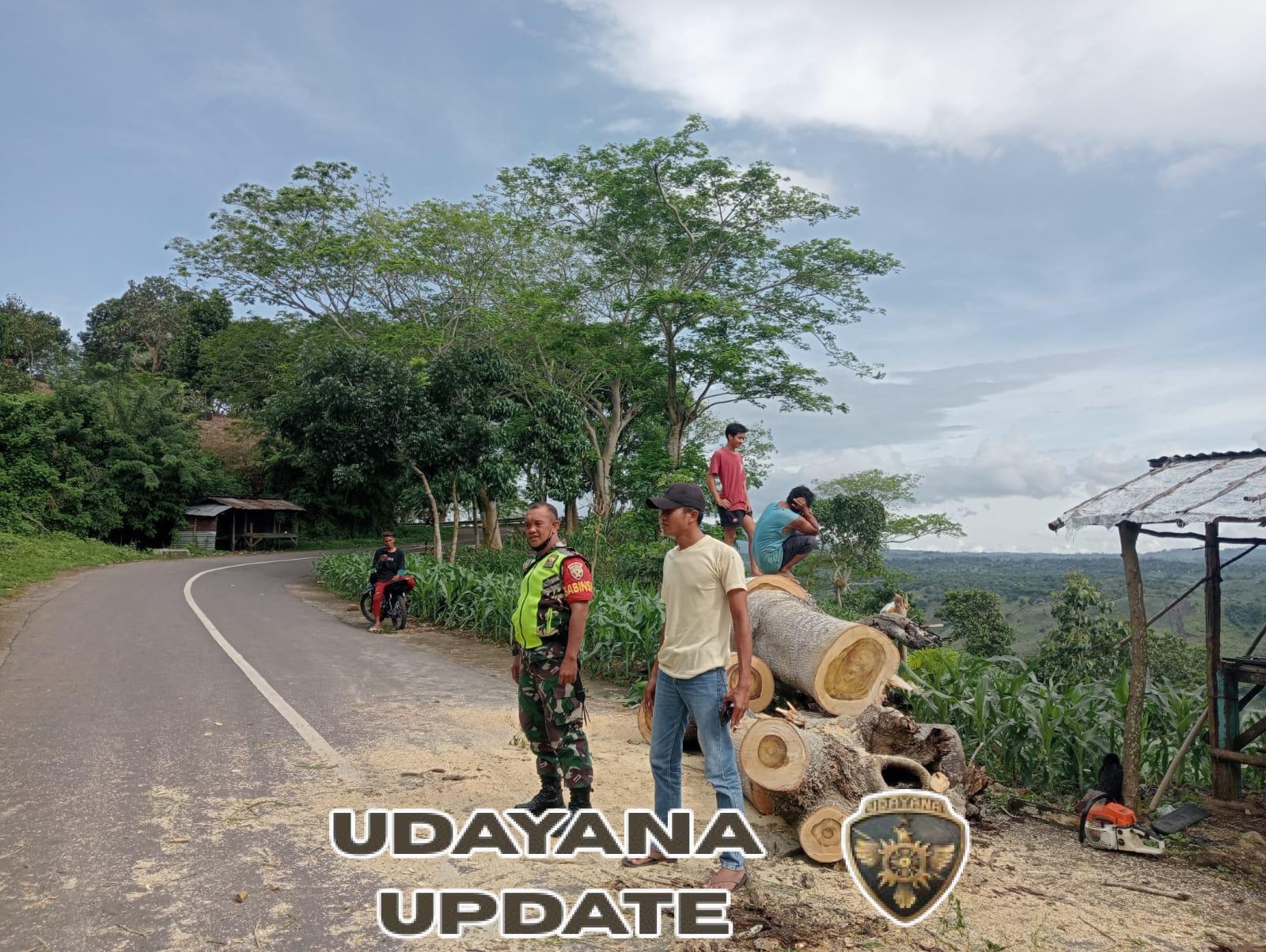 Aksi Cepat Babinsa dan Damkar Selamatkan Jalan Propinsi dari Macet Parah