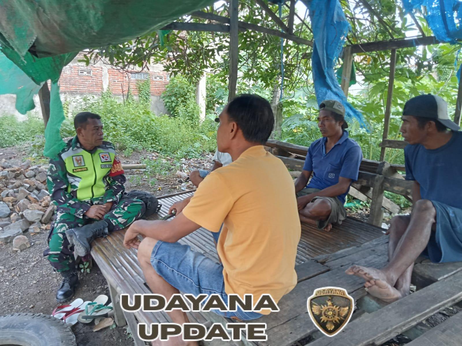 Babinsa Sambinae Dorong Ternak Dikandangkan Agar Tak Rusak Tanaman Warga