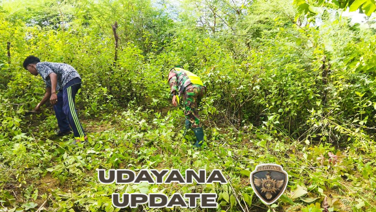 Babinsa Pantai Baru Dampingi Pengerjaan KDKMP di Desa Serubeba