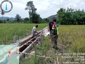 TNI-AD Mendukung Ketahanan Pangan, Babinsa Ende Monitoring Proyek Oplah Irigasi 178 Meter
