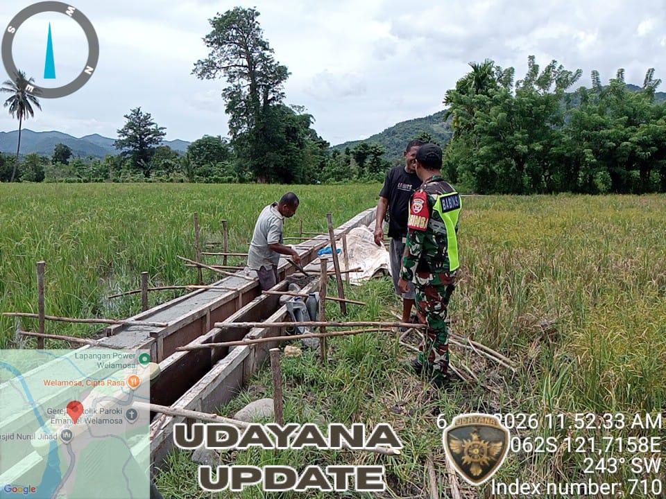 TNI-AD Mendukung Ketahanan Pangan, Babinsa Ende Monitoring Proyek Oplah Irigasi 178 Meter